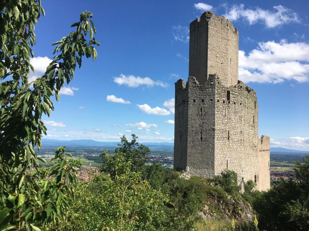 Au Nid De Cigogne Apartamento Zellenberg Exterior foto