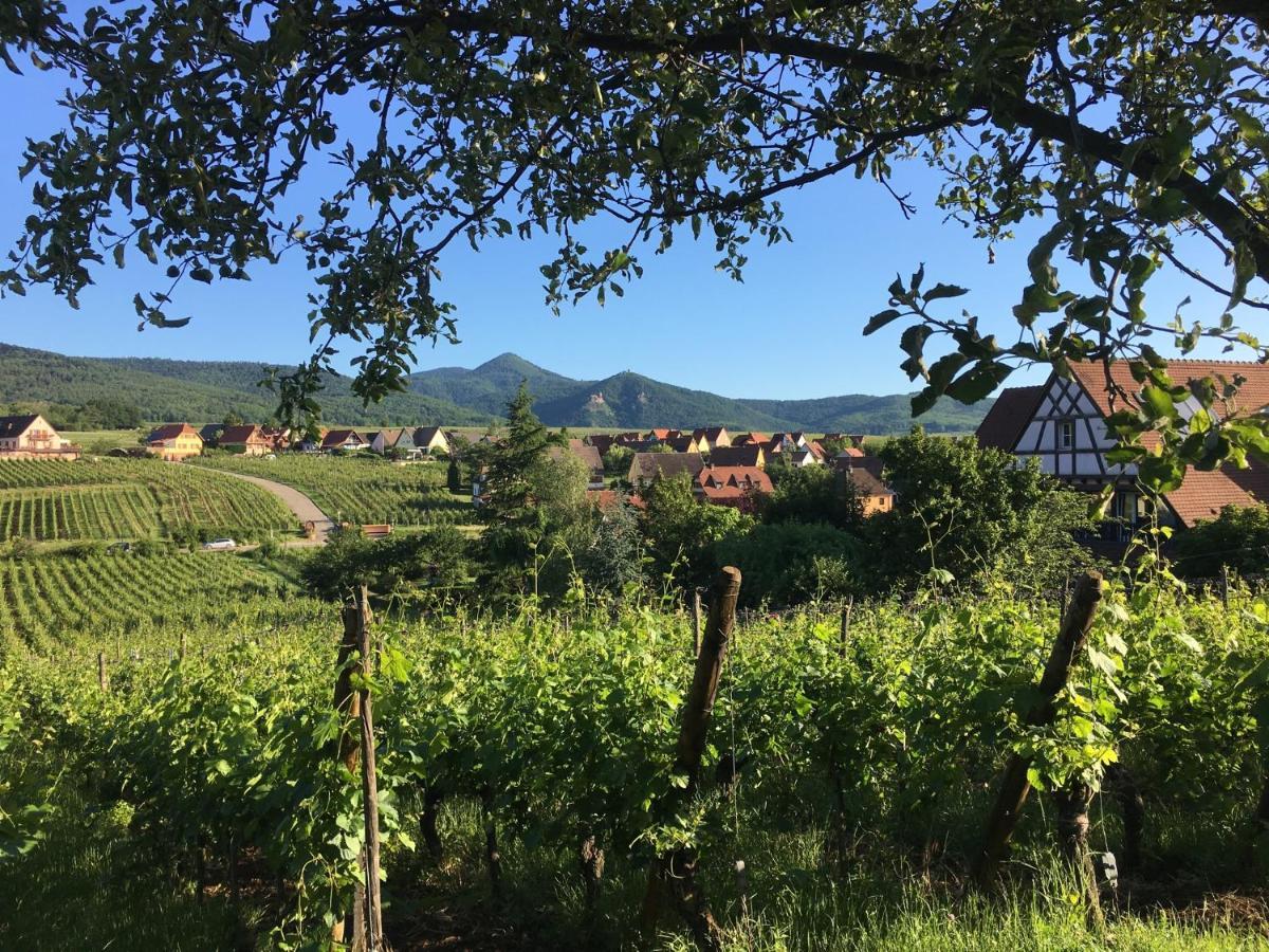 Au Nid De Cigogne Apartamento Zellenberg Exterior foto