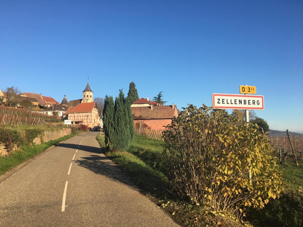 Au Nid De Cigogne Apartamento Zellenberg Exterior foto