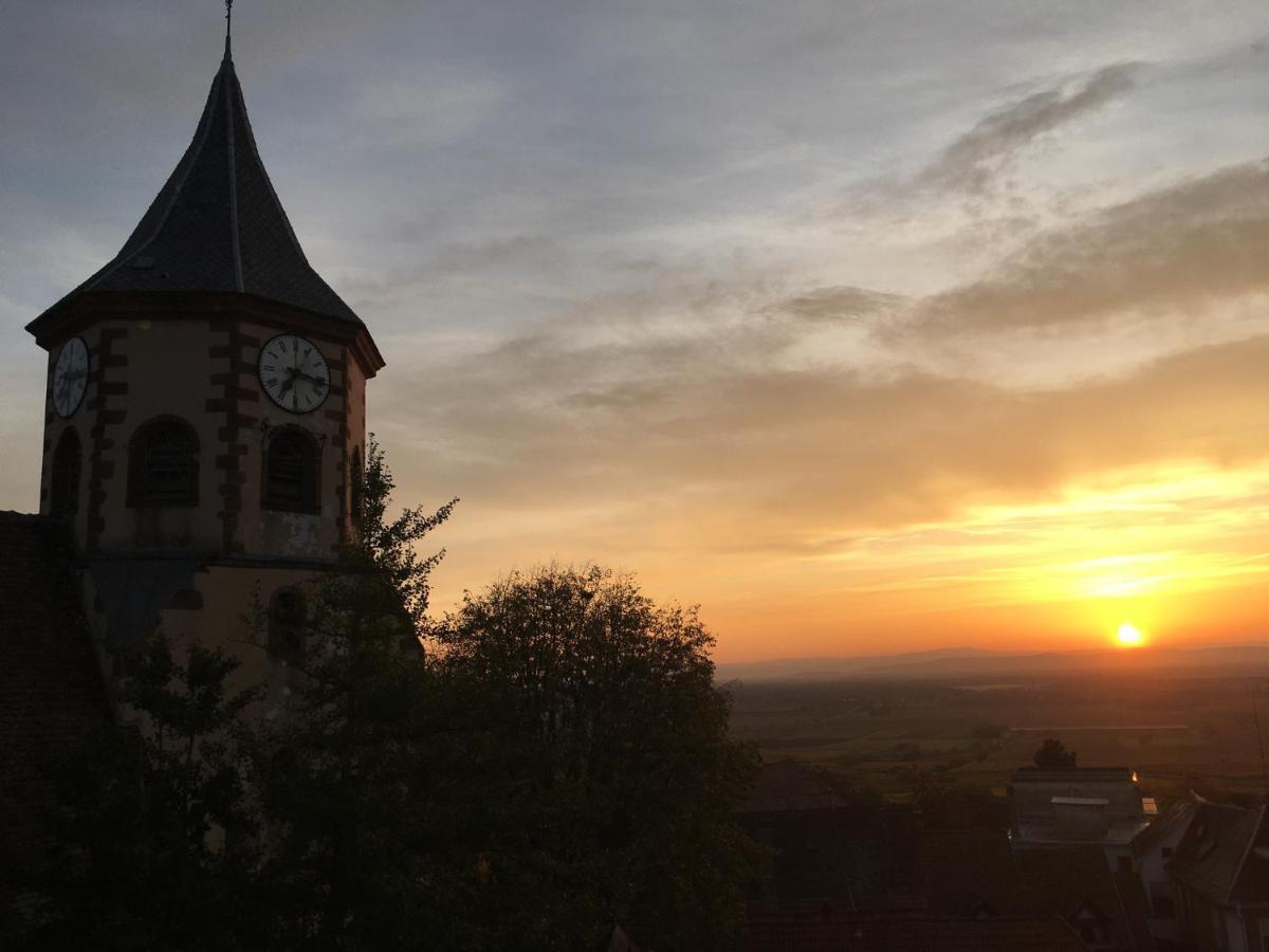 Au Nid De Cigogne Apartamento Zellenberg Exterior foto
