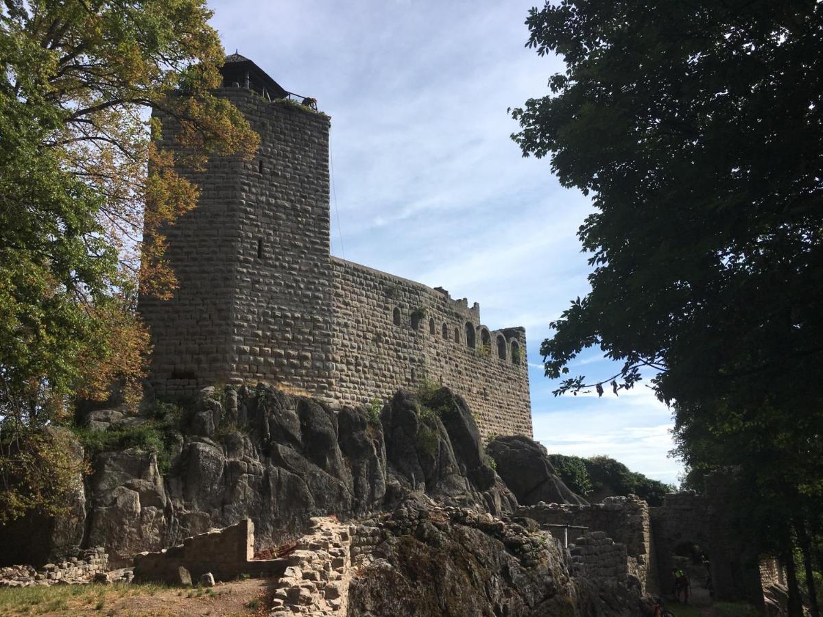 Au Nid De Cigogne Apartamento Zellenberg Exterior foto